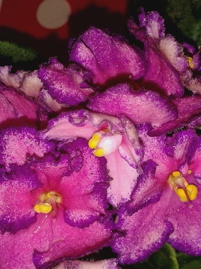20160324_183920