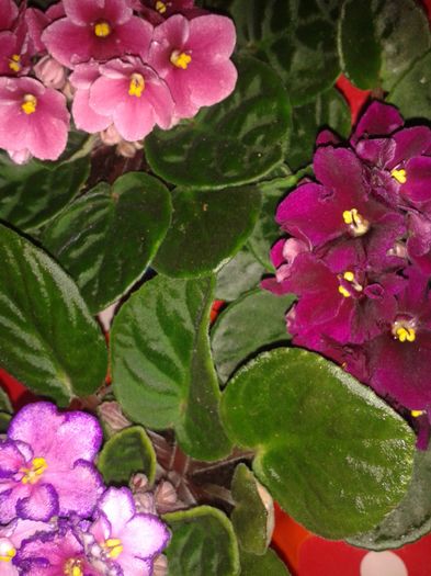 20160324_183944