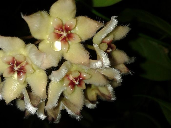 10420112_1172727069418027_7705854494364143699_n