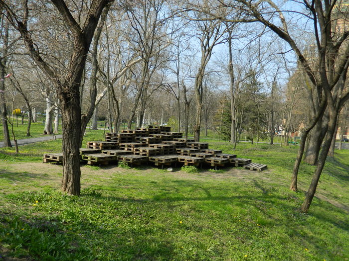 DSCN1811 - 2016 TIMISOARA_PRIMAVARA