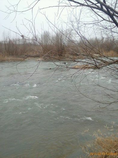 12900229_539394446240512_874727281_n