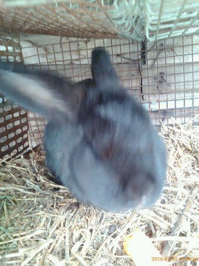 12910290_539395046240452_1197955331_n