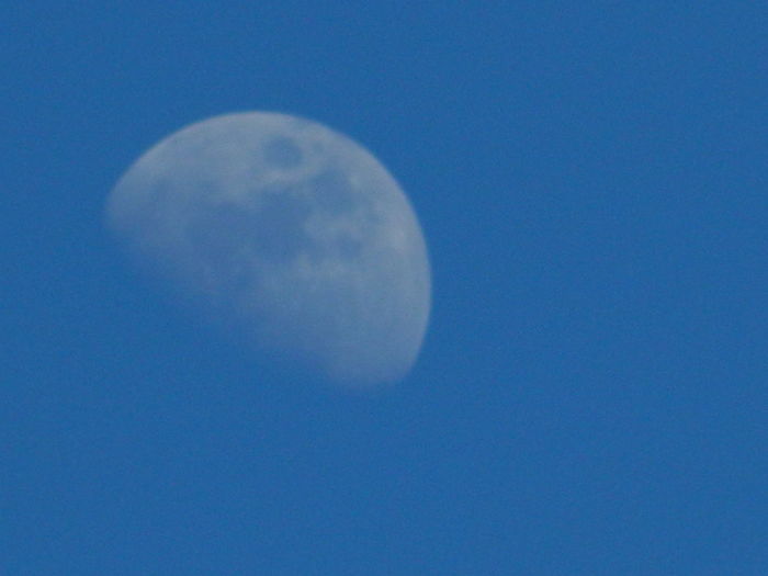 DSCN1484
