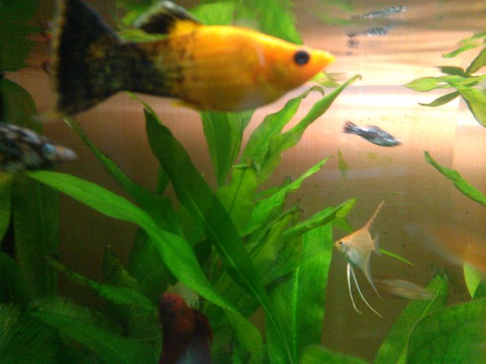 IMG_240316_141336[1]