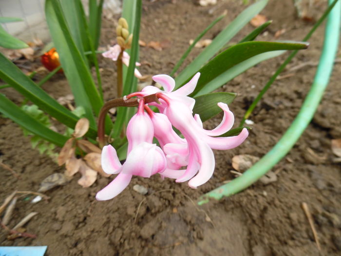 048