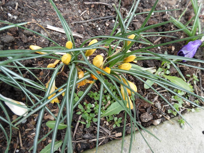 051