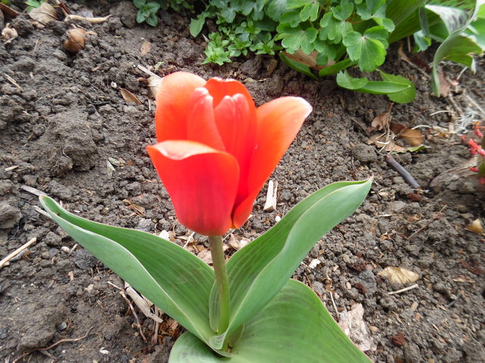 064