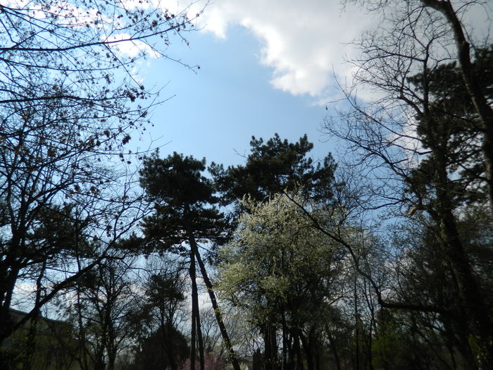 DSCN1154 - 2016 PARCUL BOTANIC TIMISOARA