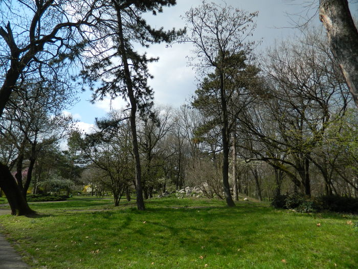 DSCN1157 - 2016 PARCUL BOTANIC TIMISOARA