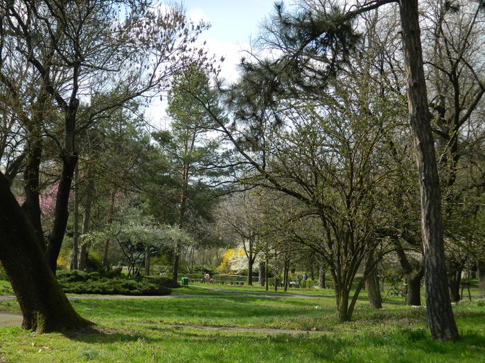 DSCN1158 - 2016 PARCUL BOTANIC TIMISOARA