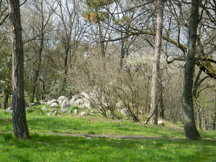 DSCN1159 - 2016 PARCUL BOTANIC TIMISOARA