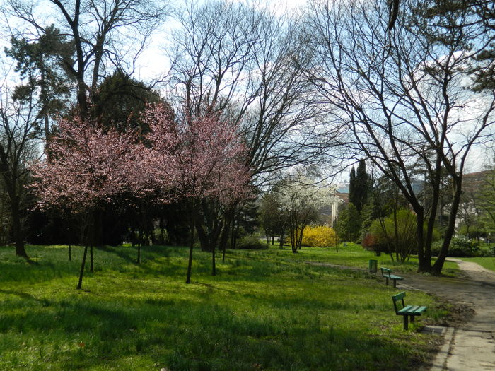 DSCN1160 - 2016 PARCUL BOTANIC TIMISOARA