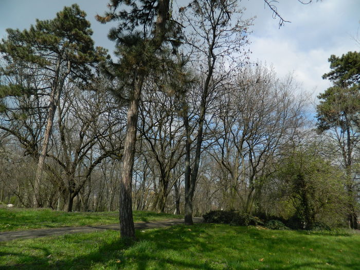 DSCN1161 - 2016 PARCUL BOTANIC TIMISOARA