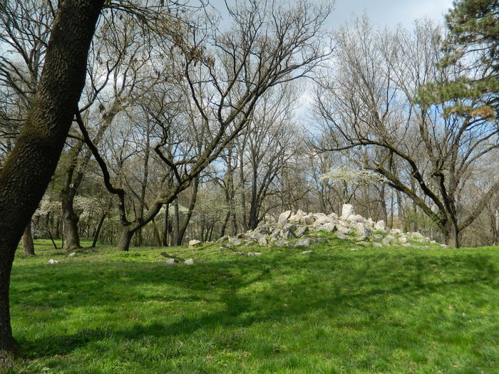 DSCN1162 - 2016 PARCUL BOTANIC TIMISOARA