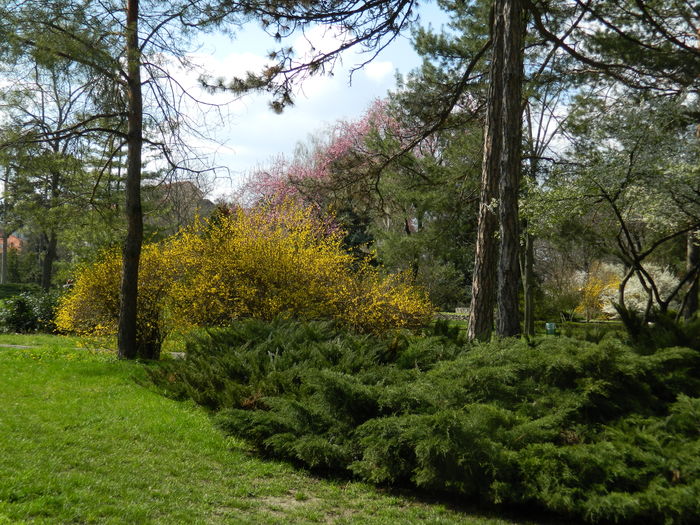 DSCN1164 - 2016 PARCUL BOTANIC TIMISOARA