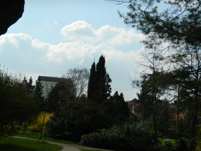 DSCN1166 - 2016 PARCUL BOTANIC TIMISOARA