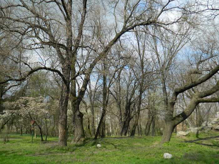 DSCN1168 - 2016 PARCUL BOTANIC TIMISOARA