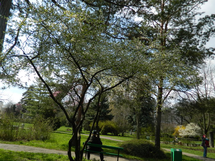 DSCN1169 - 2016 PARCUL BOTANIC TIMISOARA