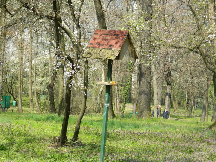 DSCN1172 - 2016 PARCUL BOTANIC TIMISOARA