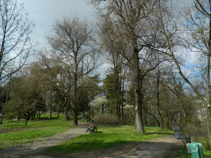 DSCN1173 - 2016 PARCUL BOTANIC TIMISOARA