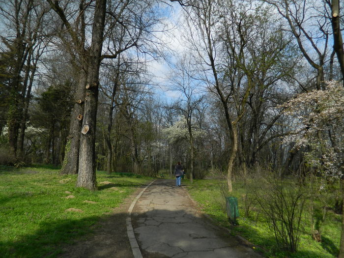 DSCN1174 - 2016 PARCUL BOTANIC TIMISOARA
