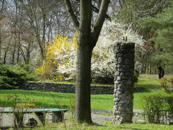 DSCN1176 - 2016 PARCUL BOTANIC TIMISOARA