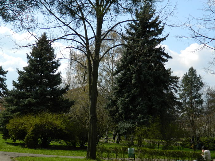 DSCN1177 - 2016 PARCUL BOTANIC TIMISOARA