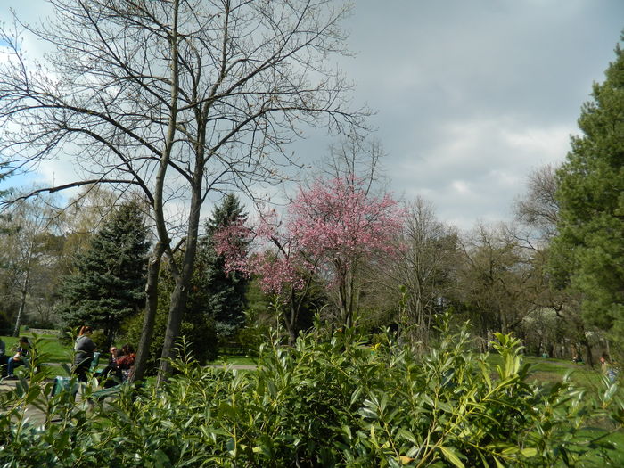 DSCN1185 - 2016 PARCUL BOTANIC TIMISOARA