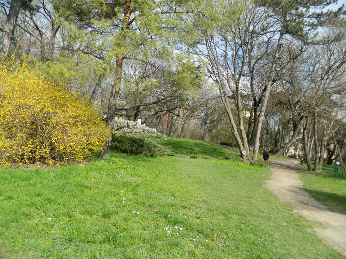 DSCN1186 - 2016 PARCUL BOTANIC TIMISOARA