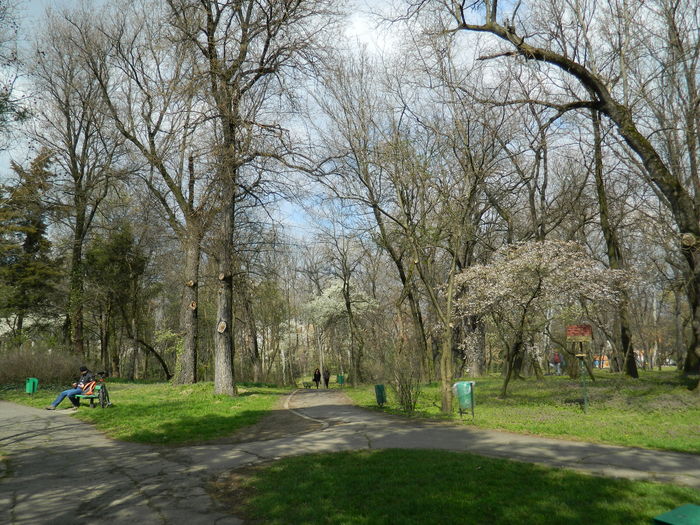DSCN1188 - 2016 PARCUL BOTANIC TIMISOARA