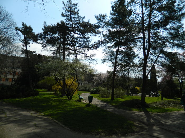 DSCN1194 - 2016 PARCUL BOTANIC TIMISOARA