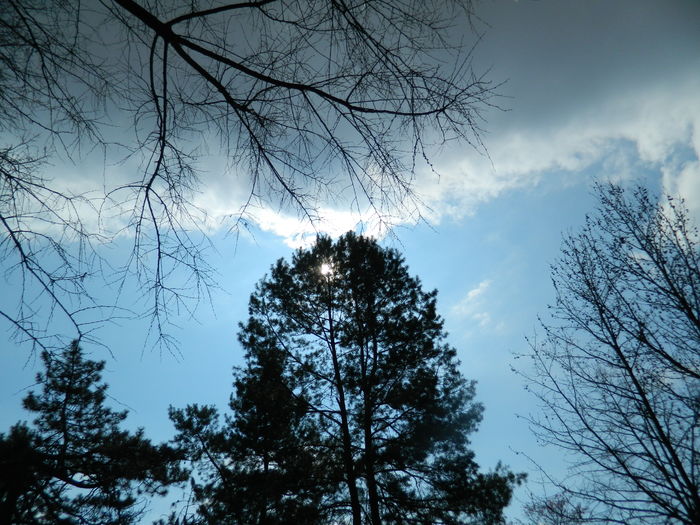 DSCN1196 - 2016 PARCUL BOTANIC TIMISOARA