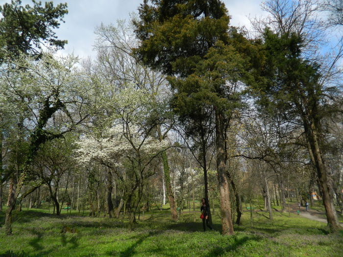 DSCN1200 - 2016 PARCUL BOTANIC TIMISOARA