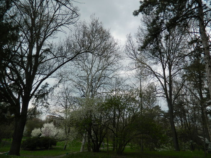 DSCN1223 - 2016 PARCUL BOTANIC TIMISOARA