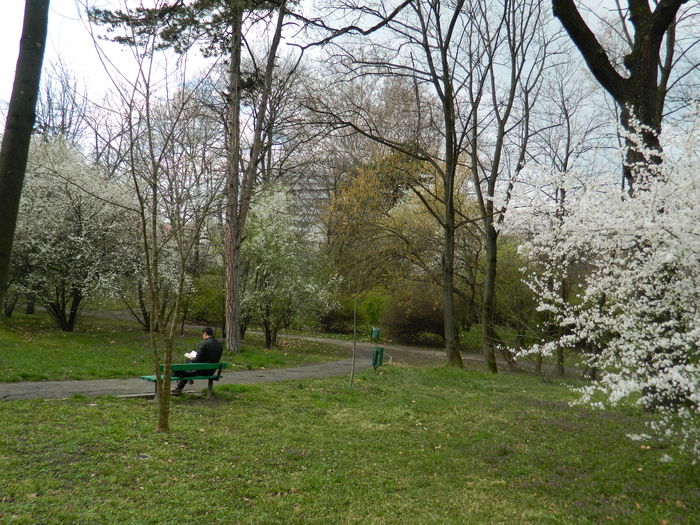 DSCN1236 - 2016 PARCUL BOTANIC TIMISOARA