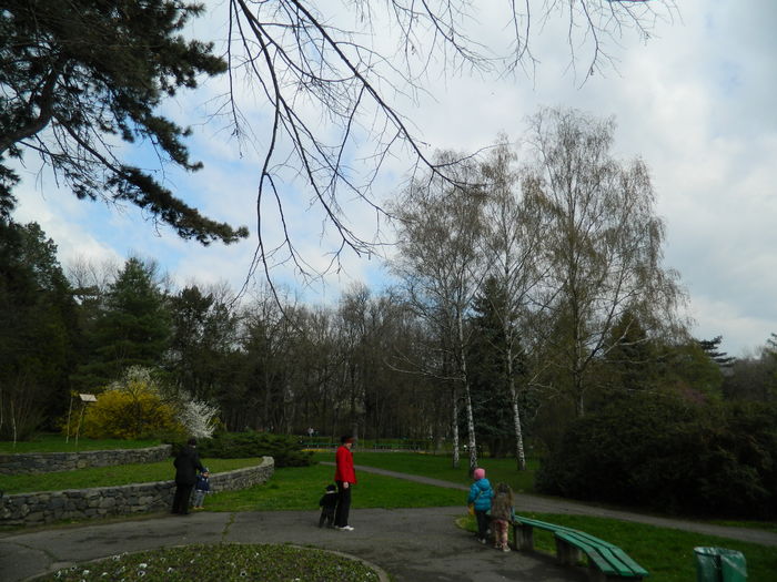 DSCN1240 - 2016 PARCUL BOTANIC TIMISOARA