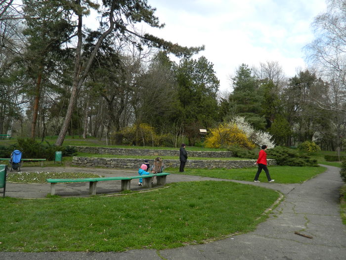 DSCN1248 - 2016 PARCUL BOTANIC TIMISOARA