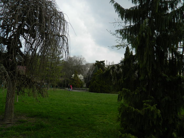 DSCN1249 - 2016 PARCUL BOTANIC TIMISOARA