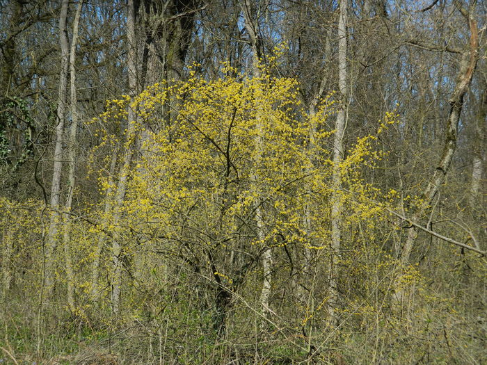 DSCN0849
