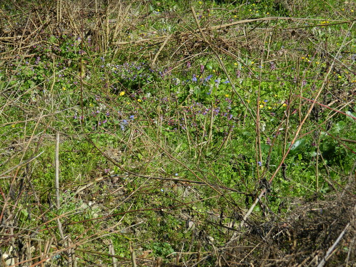 DSCN0852