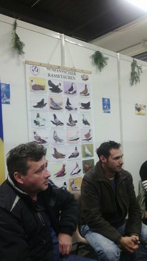 Delegatia Romaniei la Europene