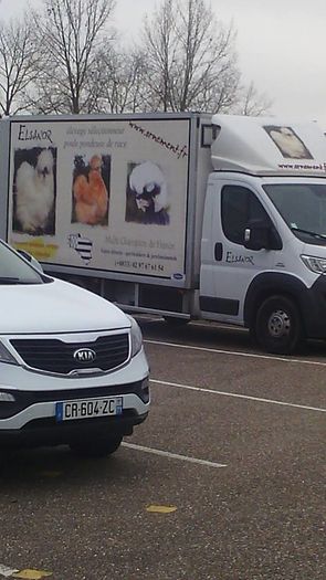 ELSANOR -ferma pasari matase japoneza Franta - Expozitia Europeana Metz  Franta 2015