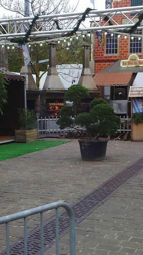 FESTIVALUL Bavarezilor