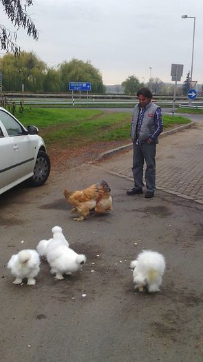 Drumul catre  Metz Franta 2015