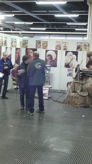 Expozitia europeana Metz Franta 2015