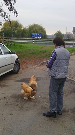 Drumul catre  Metz Franta 2015