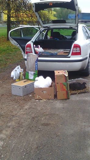 Drumul catre  Metz Franta 2015 - Expozitia Europeana Metz  Franta 2015