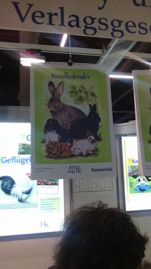 Expozitia europeana Metz Franta 2015