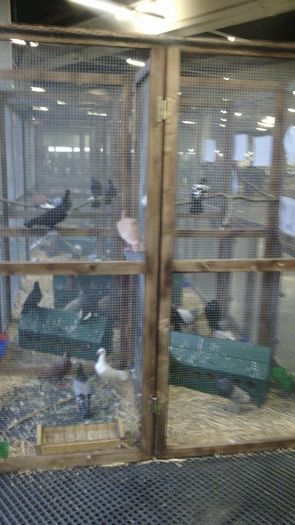 Expozitia europeana Metz Franta 2015 - Expozitia Europeana Metz  Franta 2015