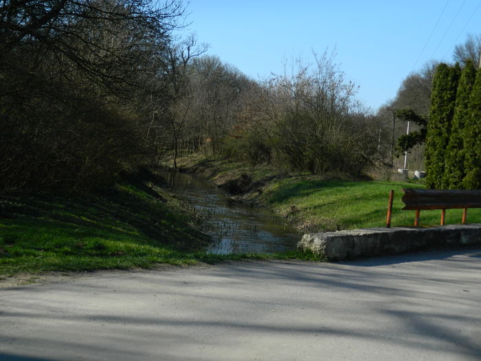 DSCN0972 - 2016 LA PADURE TIMISOARA